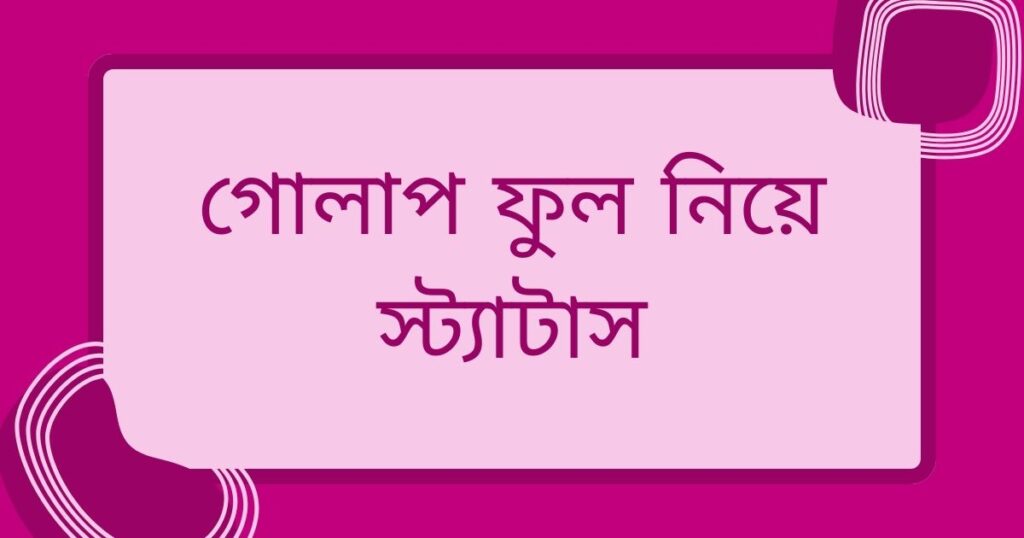 কৃষ্ণচূড়া নিয়ে ক্যাপশন
