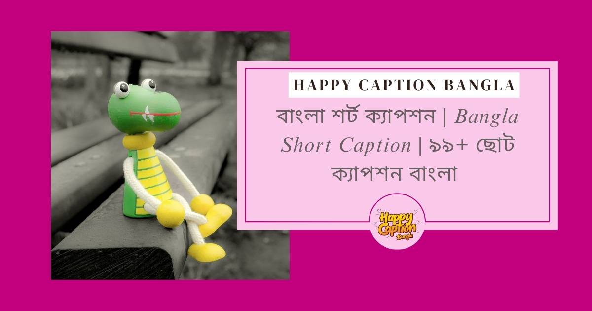 short bangla caption