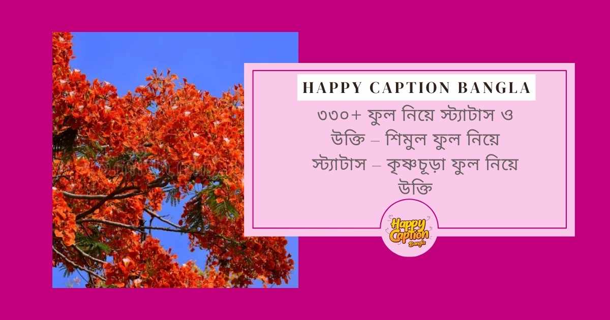 কৃষ্ণচূড়া নিয়ে ক্যাপশন