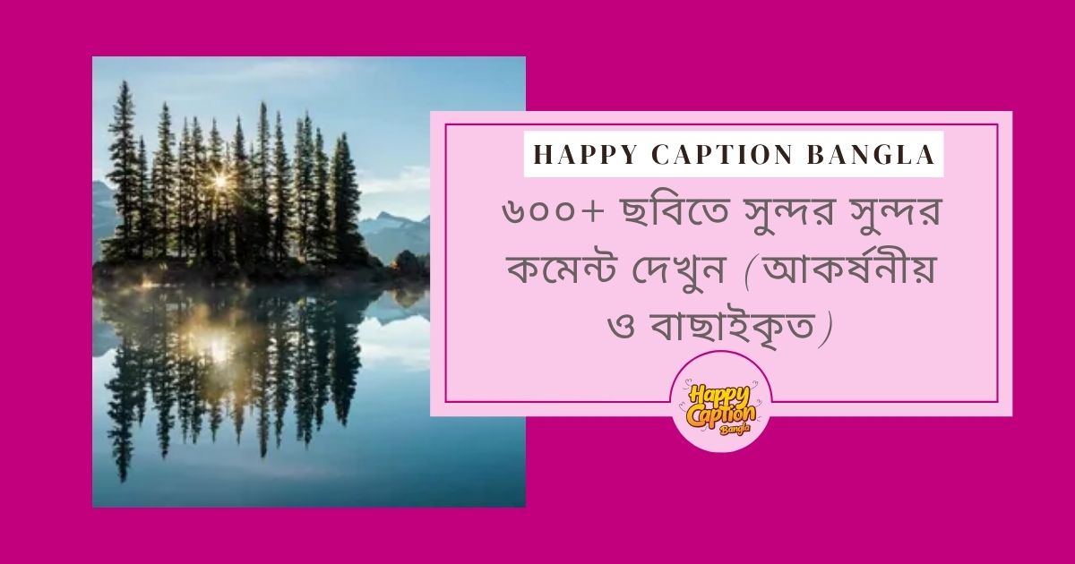 সুন্দর কমেন্ট